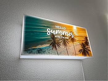 Amazon.co.jp : 【Lサイズ】ハローサマー パームビーチ 夕焼け